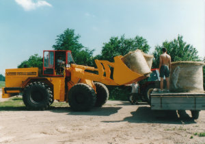 Ukázkový obrázek