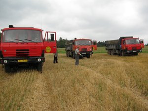 Ukázkový obrázek